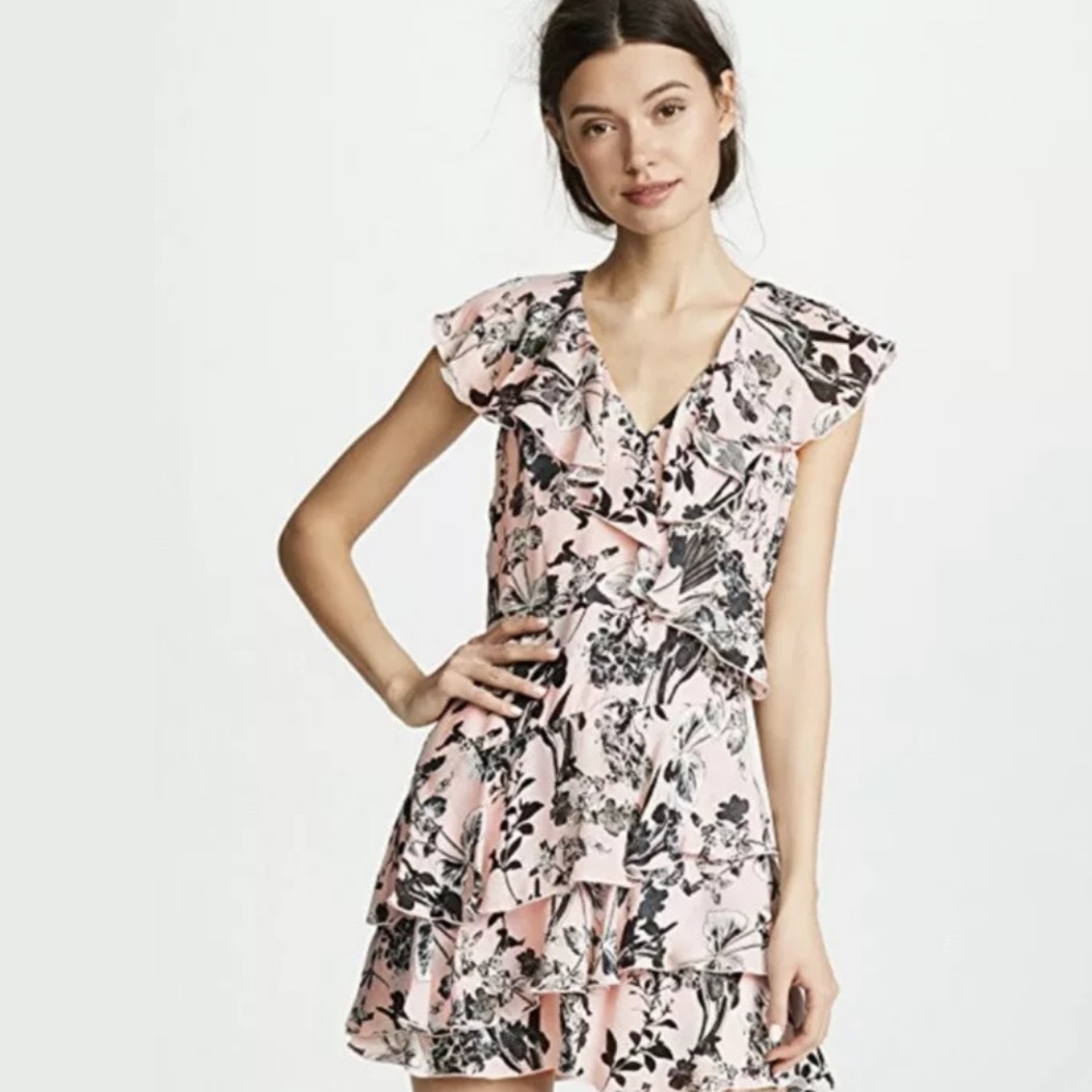 Parker 4 Dorothy Fit And Flared Floral Silk Dress